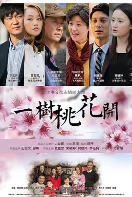 一树桃花开王志文版 第40集