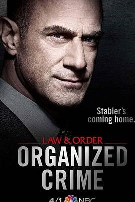 法律与秩序：组织犯罪第一季 第05集